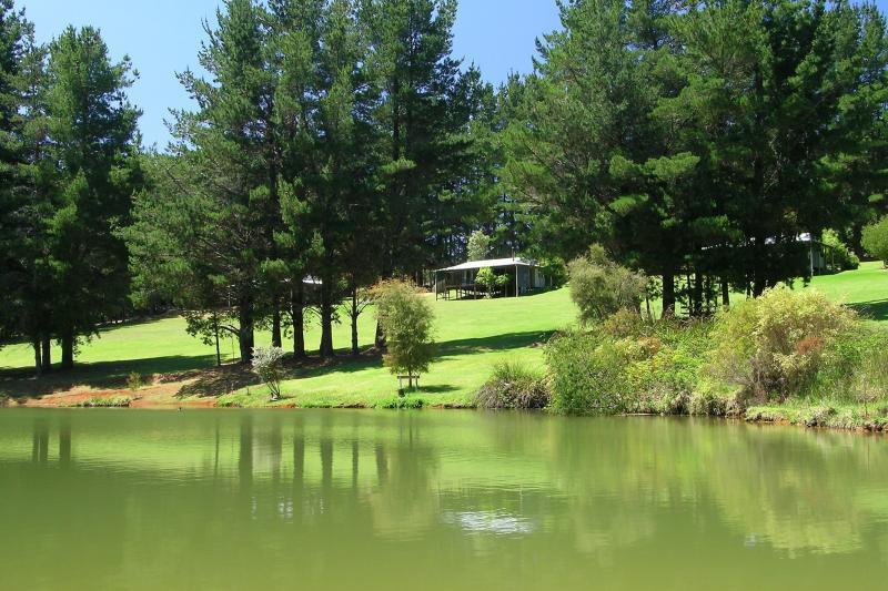 Hawke Brook Chalets เพมเบอร์ตัน ภายนอก รูปภาพ